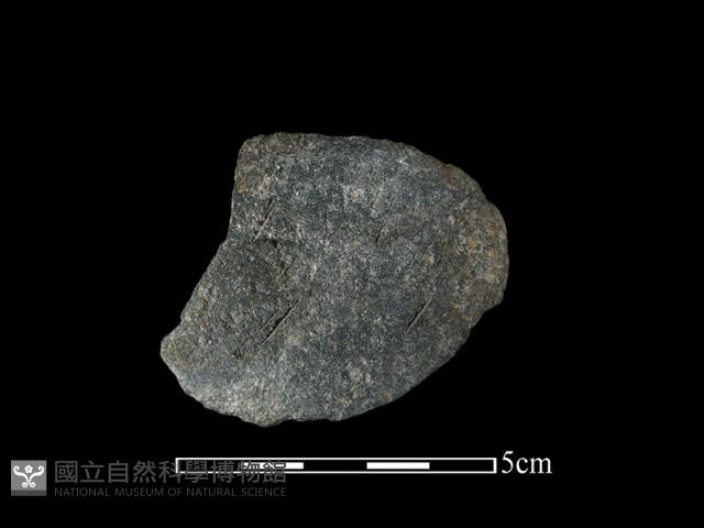 Accession Number:SNT-2018-077 Collection Image, Figure 2, Total 2 Figures