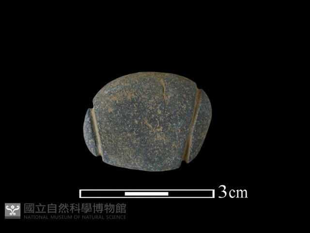 網墜藏品圖，第1張