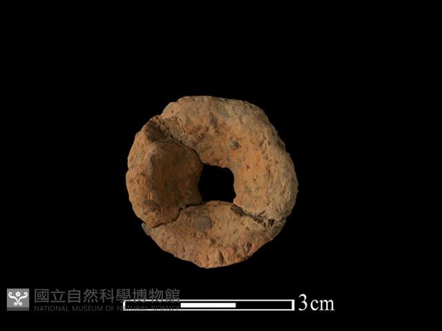 紡輪藏品圖，第3張