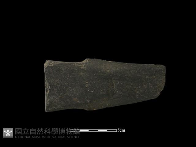 戈形器藏品圖，第1張
