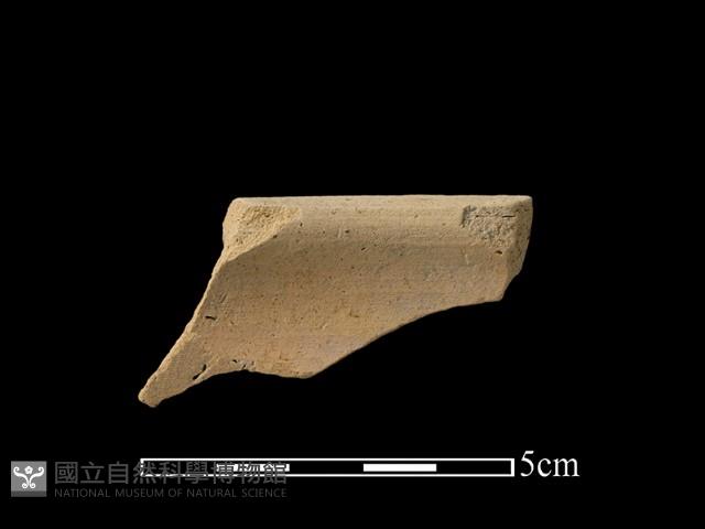 陶片藏品圖，第2張