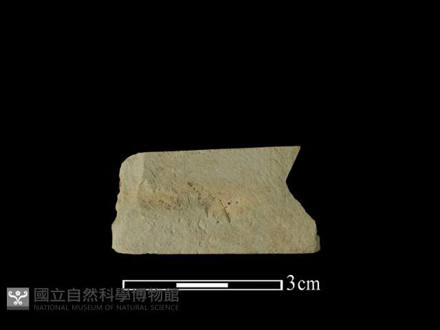 帶加工痕石材藏品圖，第1張