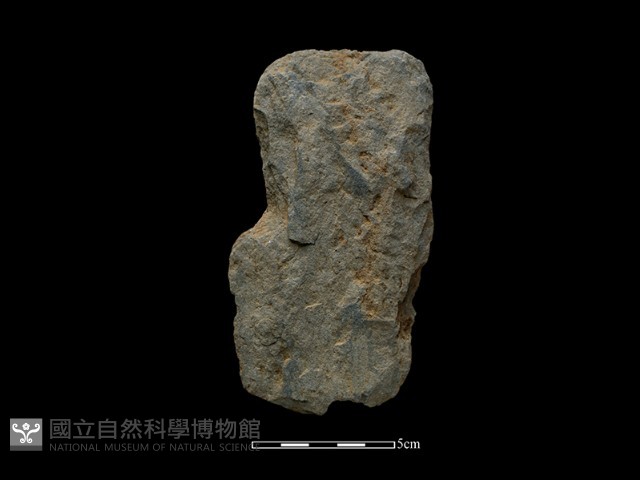 斧鋤形器藏品圖，第2張