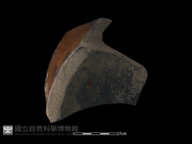 陶片藏品圖，第1張