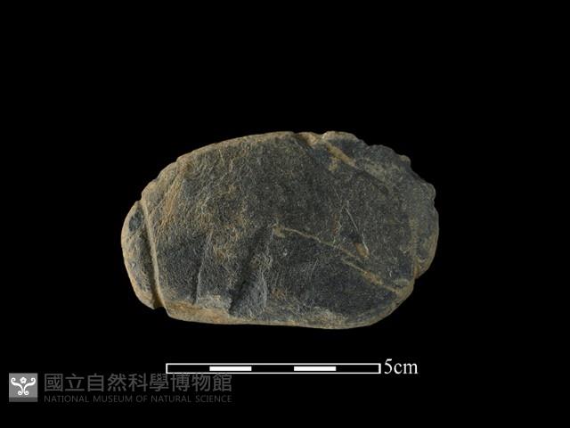 網墜藏品圖，第1張