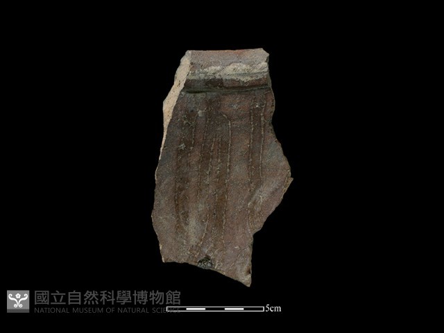 陶缸藏品圖，第2張