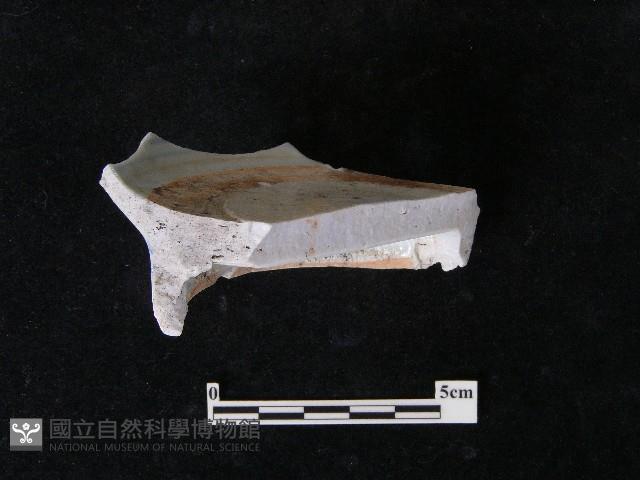 瓷碗藏品圖，第5張