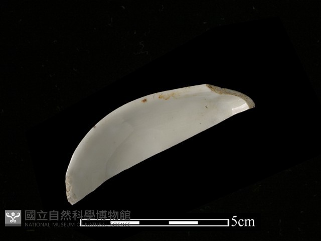 湯匙藏品圖，第2張