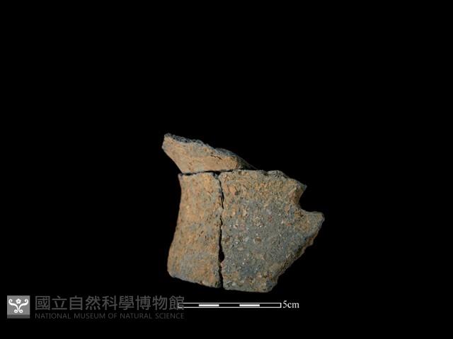 陶片藏品圖，第1張