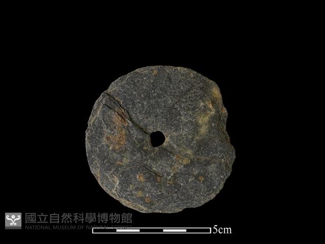 圓板形石器藏品圖，第1張