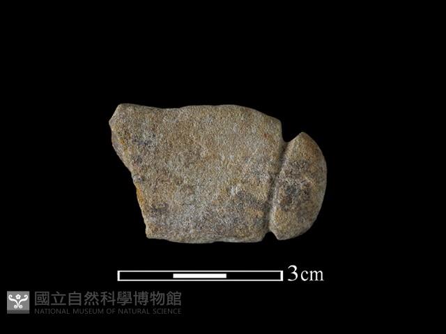 網墜藏品圖，第2張