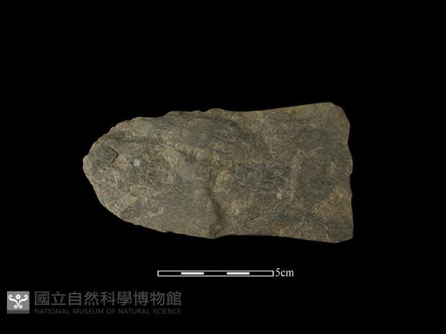 戈形器藏品圖，第1張