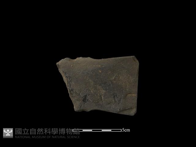 戈形器藏品圖，第2張
