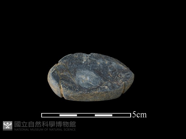 網墜藏品圖，第1張