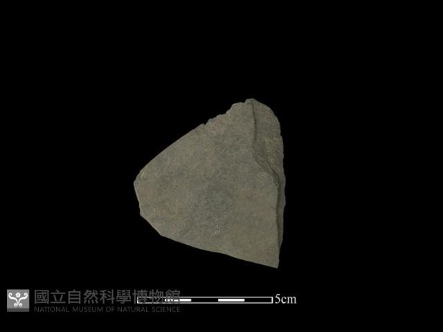 石鏟藏品圖，第1張