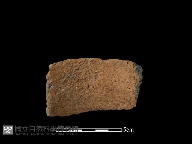 陶片藏品圖，第1張