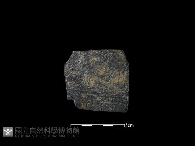 戈形器藏品圖，第1張