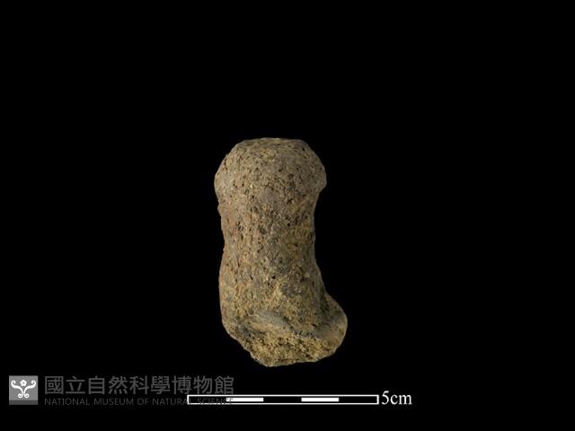 陶蓋鈕藏品圖，第2張