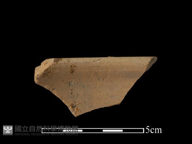 陶片藏品圖，第2張