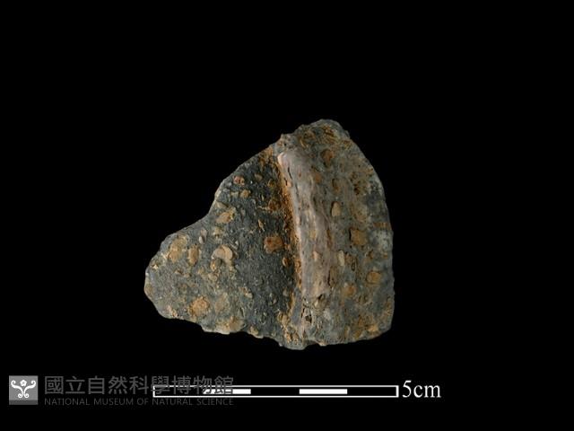 陶片藏品圖，第1張