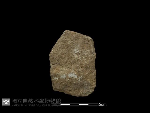 斧鋤形器藏品圖，第1張