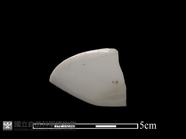湯匙藏品圖，第2張