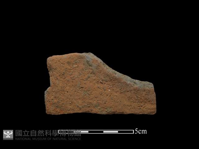 陶片藏品圖，第2張