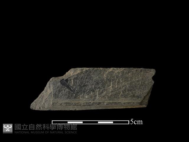 帶加工痕石材藏品圖，第2張