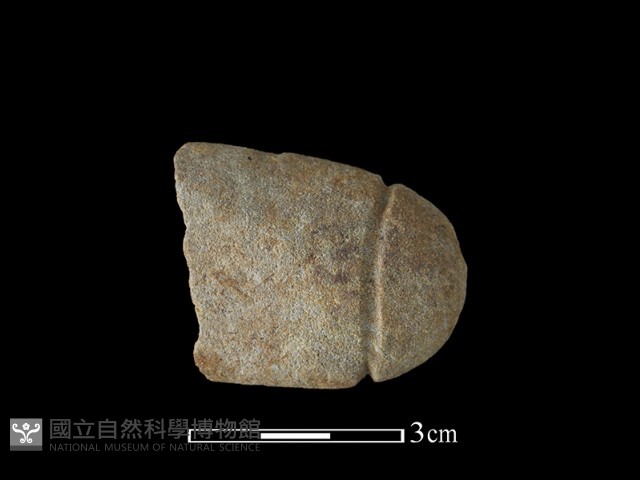 網墜藏品圖，第2張