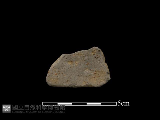 陶片藏品圖，第2張