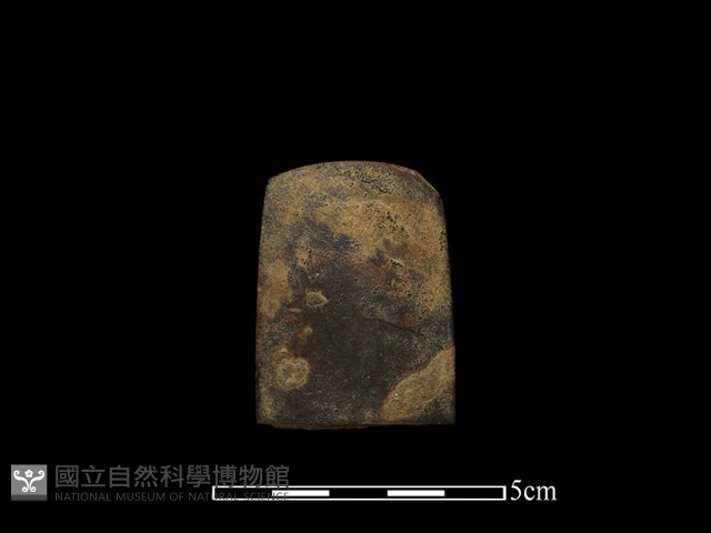 錛鑿形器藏品圖，第2張