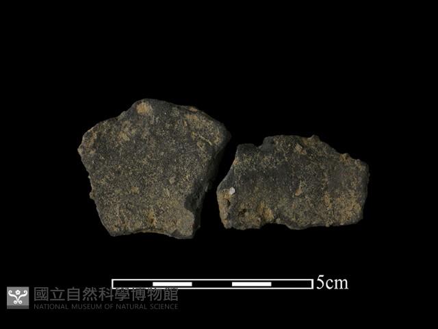 陶片藏品圖，第2張