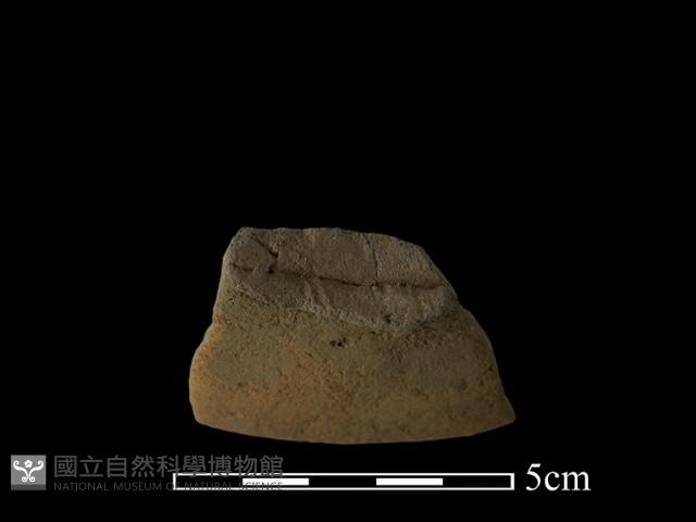 陶片藏品圖，第3張