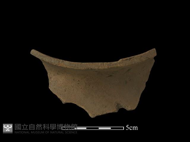 陶片藏品圖，第3張