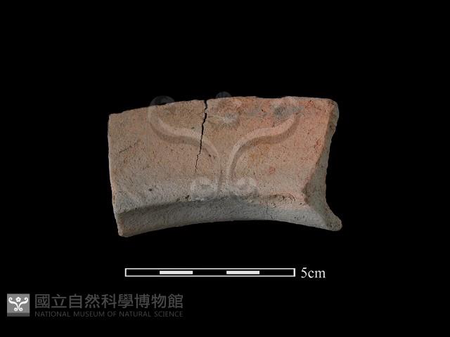 陶罐藏品圖，第2張