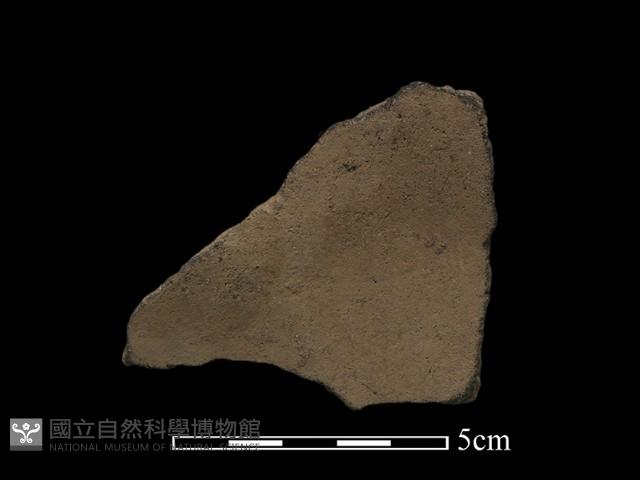 陶片藏品圖，第2張