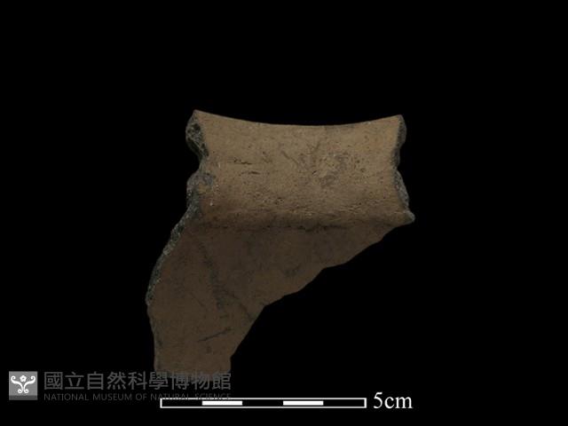 陶片藏品圖，第2張
