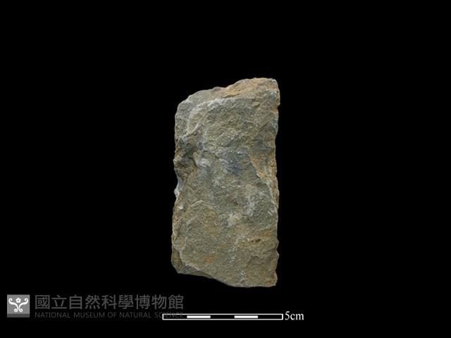 斧鋤形器藏品圖，第2張