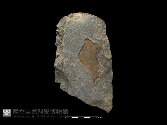 斧鋤形器藏品圖，第2張