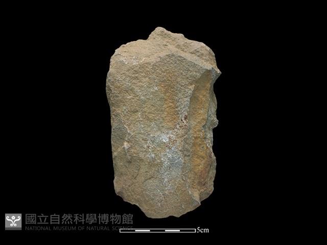 Accession Number:SWK-2020-050 Collection Image, Figure 2, Total 2 Figures