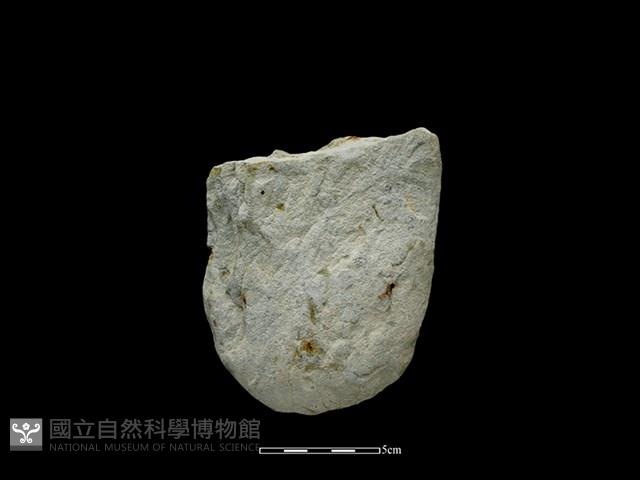 Accession Number:SWT-2021-011 Collection Image, Figure 2, Total 2 Figures