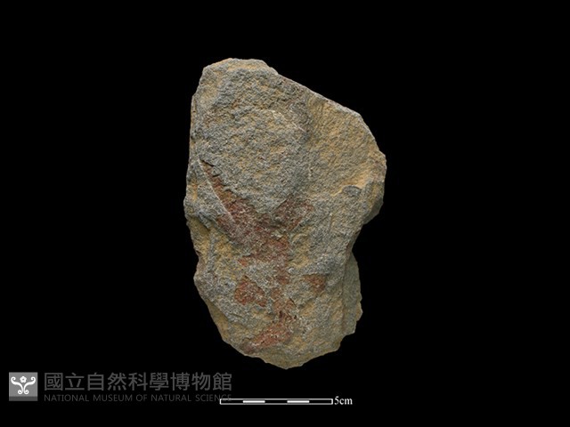斧鋤形器藏品圖，第2張