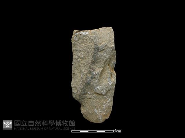 斧鋤形器藏品圖，第2張