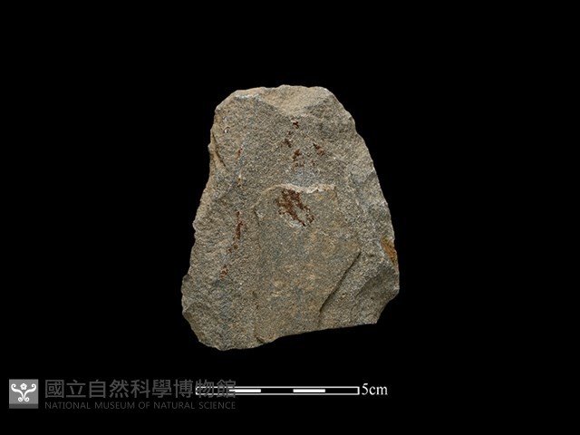 斧鋤形器藏品圖，第2張