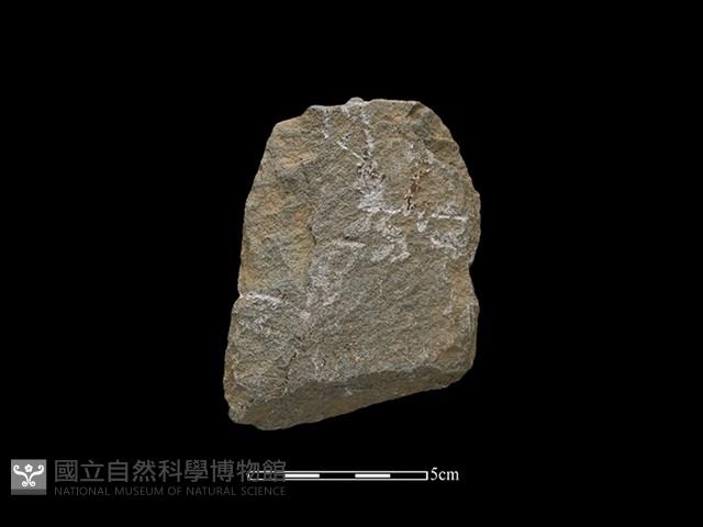 斧鋤形器藏品圖，第2張