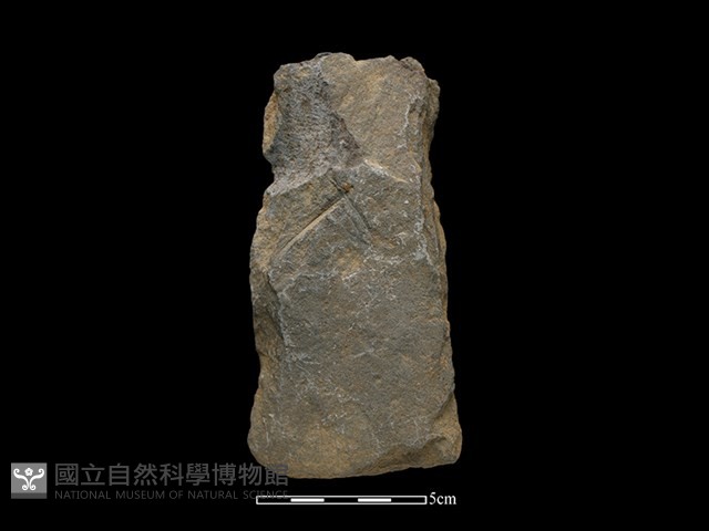 斧鋤形器藏品圖，第2張