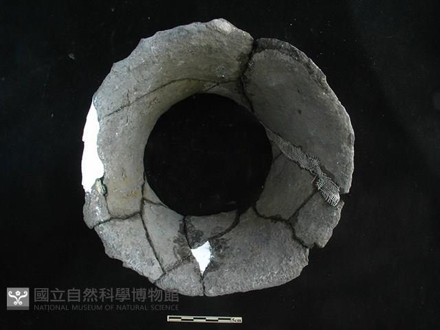 Accession Number:HLL-P-PT0867 Collection Image, Figure 2, Total 2 Figures