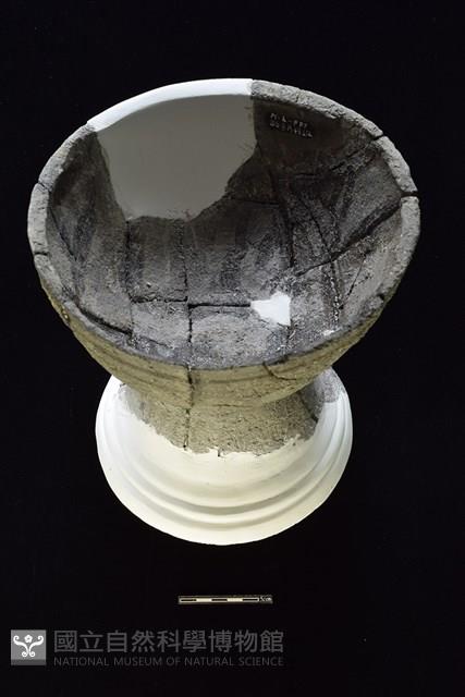 豆形器藏品圖，第2張