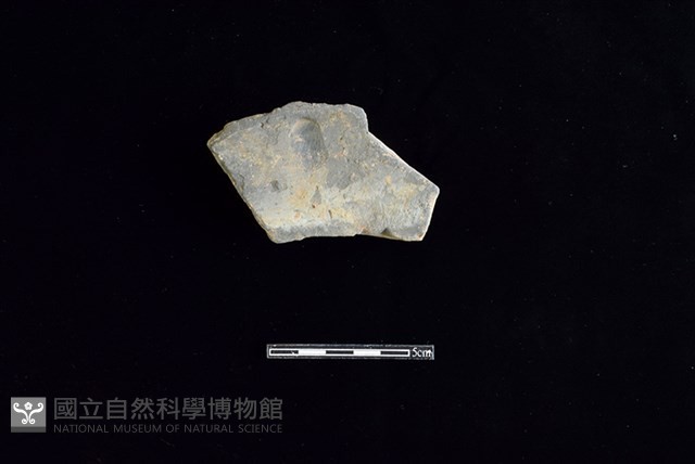 連杯形器藏品圖，第2張