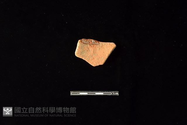 陶罐藏品圖，第2張